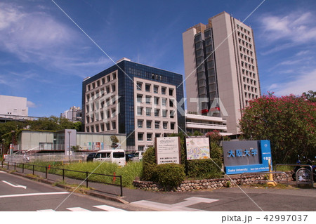 大阪大学吹田キャンパス 42997037