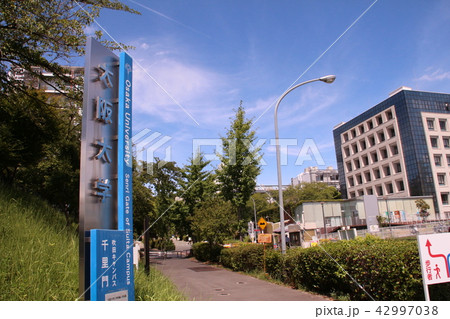 大阪大学吹田キャンパス 42997038
