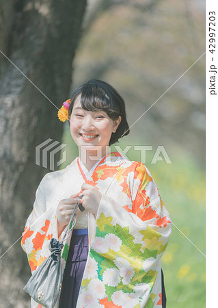 Sakura Sakura 42997203
