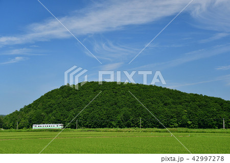 田んぼと青空と列車 田んぼと青空と列車 42997278