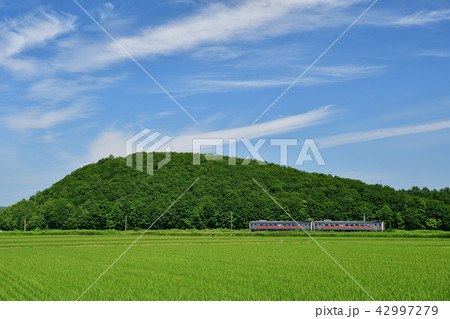 青空と田んぼと列車 青空と田んぼと列車 42997279