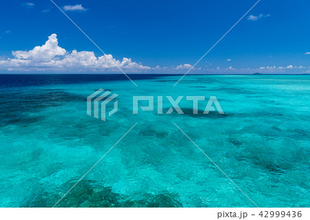 宮古島 海 42999436