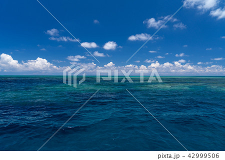 宮古島　八重干瀬 42999506