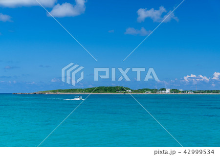 宮古島　八重干瀬 42999534