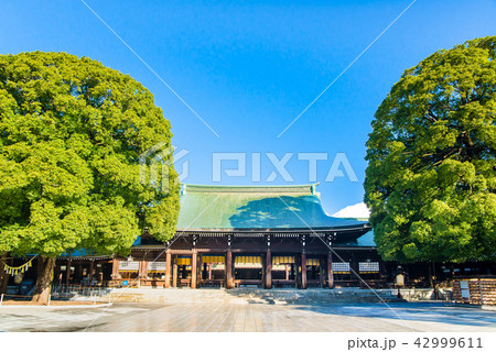明治神宮 拝殿 明治神宮 拝殿 42999611