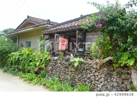 okinawa 沖縄 42999638