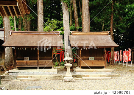 多賀大社、三宮神社、聖神社、熊野神社、天神神社 多賀大社、三宮神社、聖神社、熊野神社、天神神社 42999702