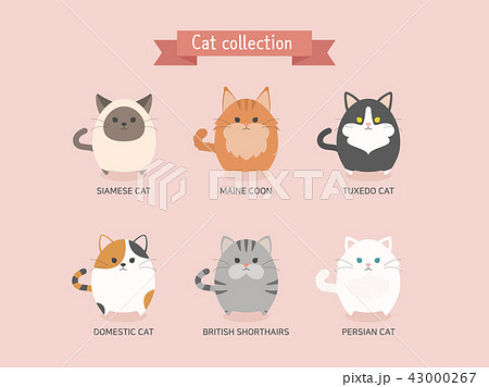 猫 キャラクター 種類のイラスト素材