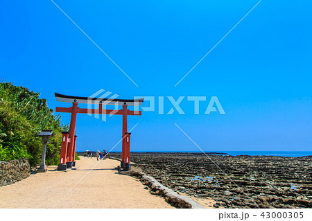 青島神社　青島神社と鬼の洗濯板　【宮崎県宮崎市】 43000305