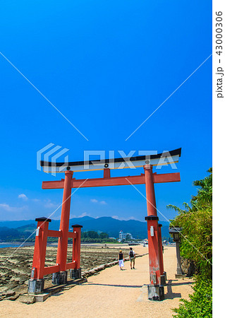 青島神社　青島神社と鬼の洗濯板　【宮崎県宮崎市】 43000306