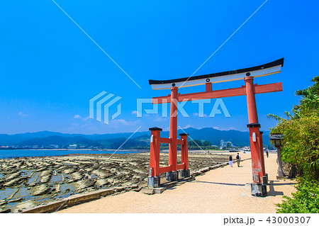 青島神社 青島神社と鬼の洗濯板 【宮崎県宮崎市】 青島神社 青島神社と鬼の洗濯板 【宮崎県宮崎市】 43000307