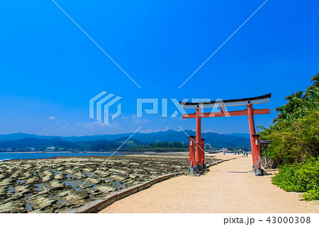 青島神社 青島神社と鬼の洗濯板 【宮崎県宮崎市】 青島神社 青島神社と鬼の洗濯板 【宮崎県宮崎市】 43000308