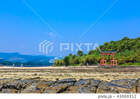 青島神社 青島神社と鬼の洗濯板 【宮崎県宮崎市】 青島神社 青島神社と鬼の洗濯板 【宮崎県宮崎市】 43000312