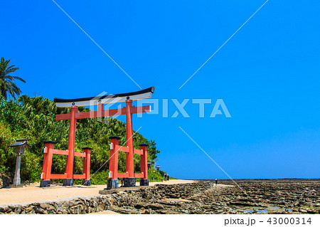 青島神社 青島神社と鬼の洗濯板 【宮崎県宮崎市】 青島神社 青島神社と鬼の洗濯板 【宮崎県宮崎市】 43000314
