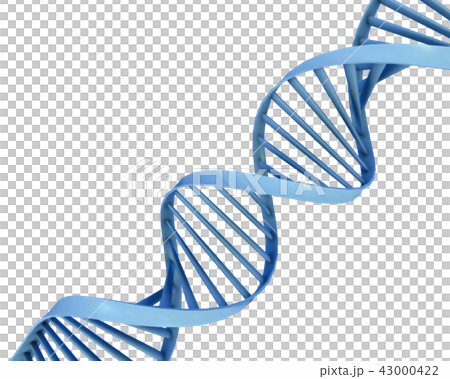 Double spiral image 43000422