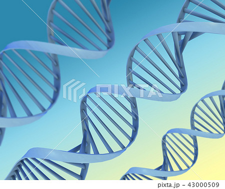 DNAイメージ 43000509