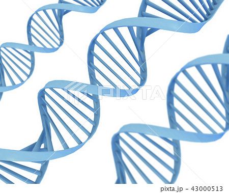 DNAイメージ 43000513