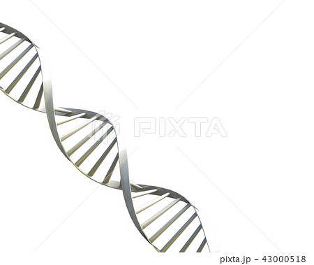 二重　螺旋イメージ 43000518
