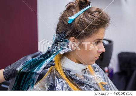Professional hairdresser coloring hair of woman client at studio Professional hairdresser coloring hair of woman client at studio 43000816
