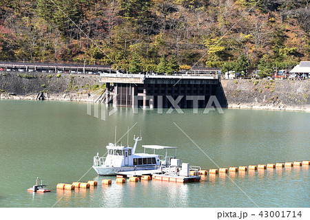 奥多摩湖 紅葉 奥多摩湖 紅葉 43001714