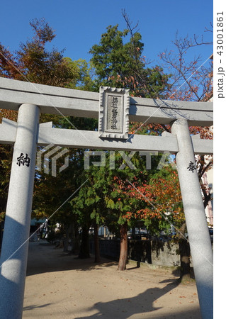 須佐之男神社 須佐之男神社 43001861