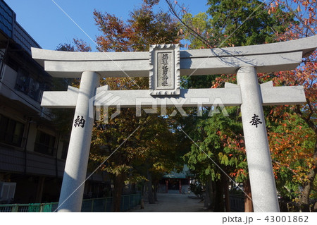 須佐之男神社 43001862