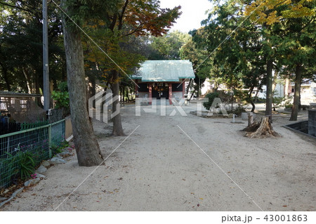 須佐之男神社 須佐之男神社 43001863