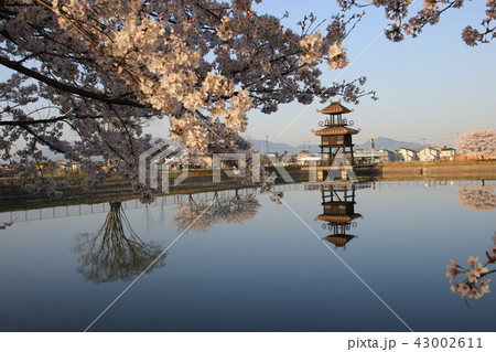 鍵唐古遺跡と桜 43002611