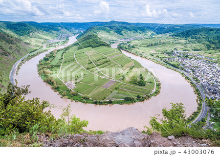 Moselle loop at Bremm Panorama Germany 43003076