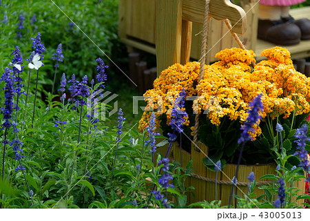 背景 バックグラウンド バックグランド 43005013