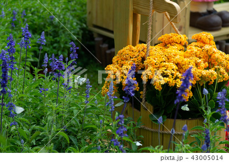 背景 バックグラウンド バックグランド 43005014