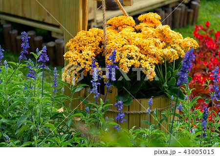 背景 バックグラウンド バックグランド 43005015