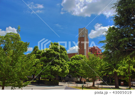 同志社大学 同志社大学 43005019