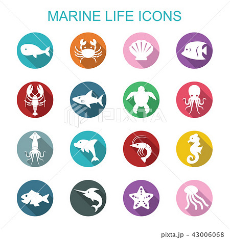 marine life long shadow icons 43006068