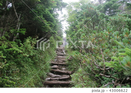 登山道 登山道 43006622