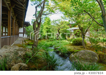 [京都府] 嵐山の天龍寺 43007834