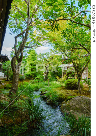 [京都府] 嵐山の天龍寺 43007835