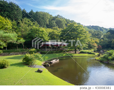 【伊豆】池のある日本庭園風景【修善寺虹の郷】 43008381