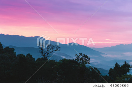 Sweet sunset sky at silhouette mountain 43009366