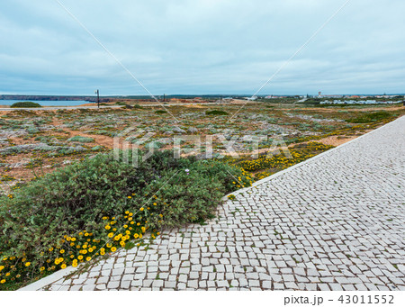 Walkway and Atlantic ocean coast view (Portugal). Walkway and Atlantic ocean coast view (Portugal). 43011552