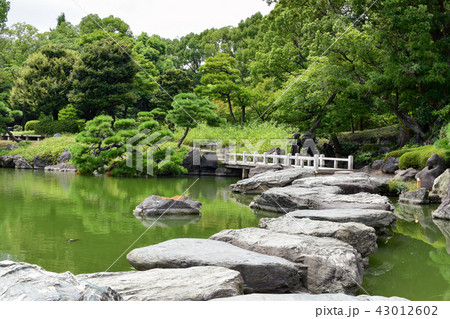 東京　清澄庭園　大磯渡り 43012602
