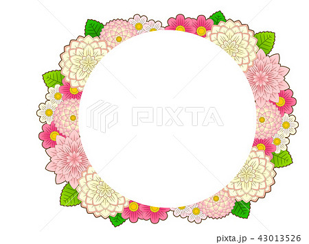 ダリアの背景 43013526