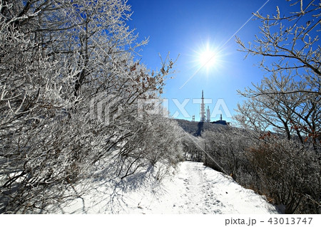 雪景色 冬 山 43013747