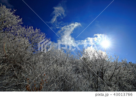 雪景色 冬 山 43013766