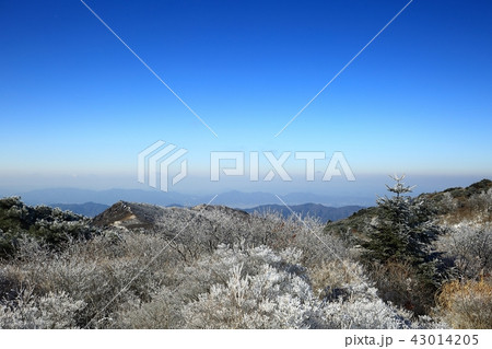 雪景色 冬 山 43014205