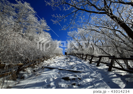 雪景色 冬 山 43014234