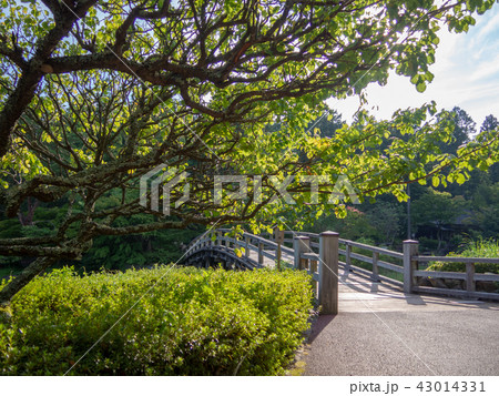 【伊豆】日本庭園の木橋【修善寺虹の郷】 43014331