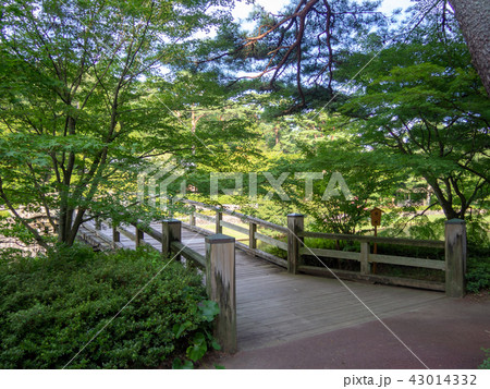 【伊豆】日本庭園の木橋【修善寺虹の郷】 43014332