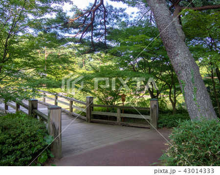 【伊豆】日本庭園の木橋【修善寺虹の郷】 【伊豆】日本庭園の木橋【修善寺虹の郷】 43014333