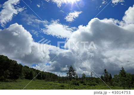 夏雲湧く駒止湿原 福島県南会津町 夏雲湧く駒止湿原 福島県南会津町 43014753